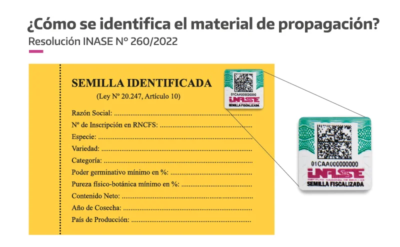 Cómo se identifica el material de propagación de cannabis: rótulo amarillo y estampilla de seguridad INASE